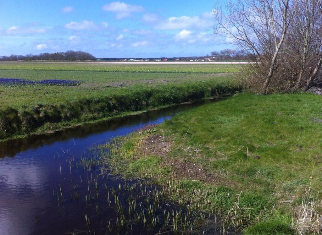 Strand49 Glamping Sint Maartenszee Sint Maartensvlotbrug 외부 사진
